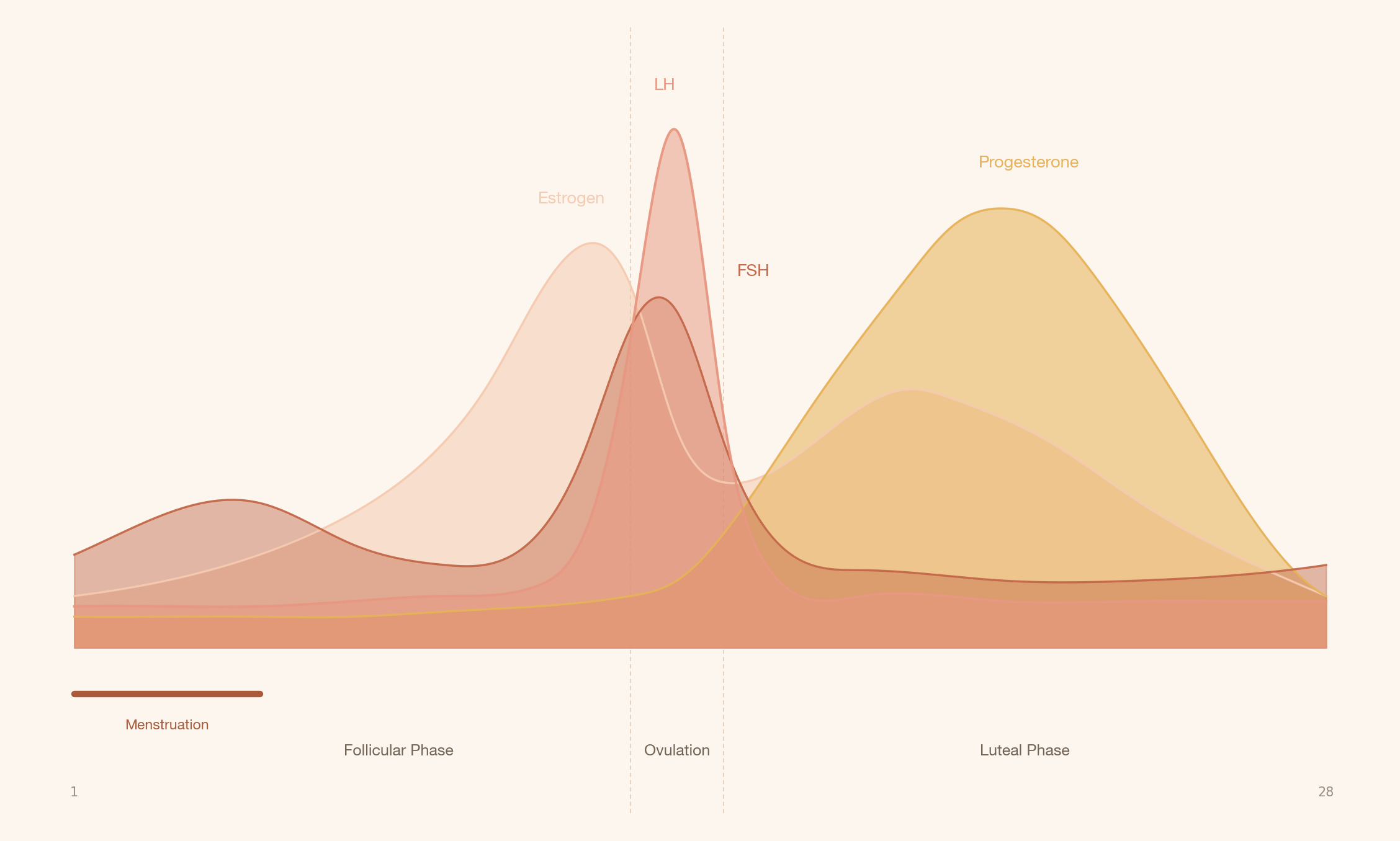 Hormone curve chart showing estrogen, FSH, LH and progesterone across the 28-day menstrual cycle, in nōuxx warm palette