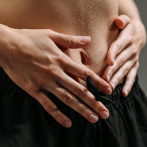 Metabolism.png__PID:2de0cd95-9faa-4dc7-b42e-47d37618c194